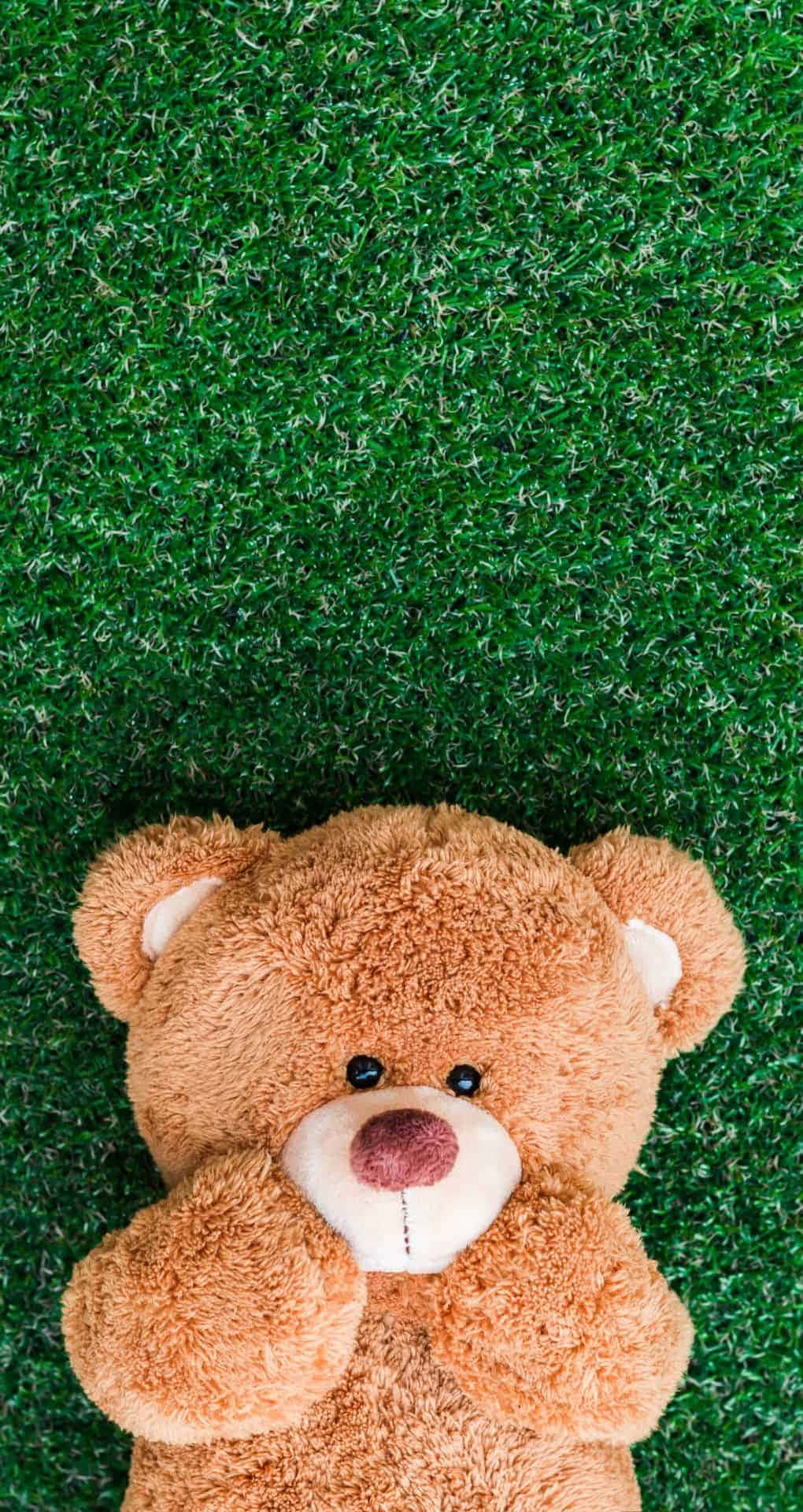 A Teddy Bear Laying On A Green Grass Wallpaper