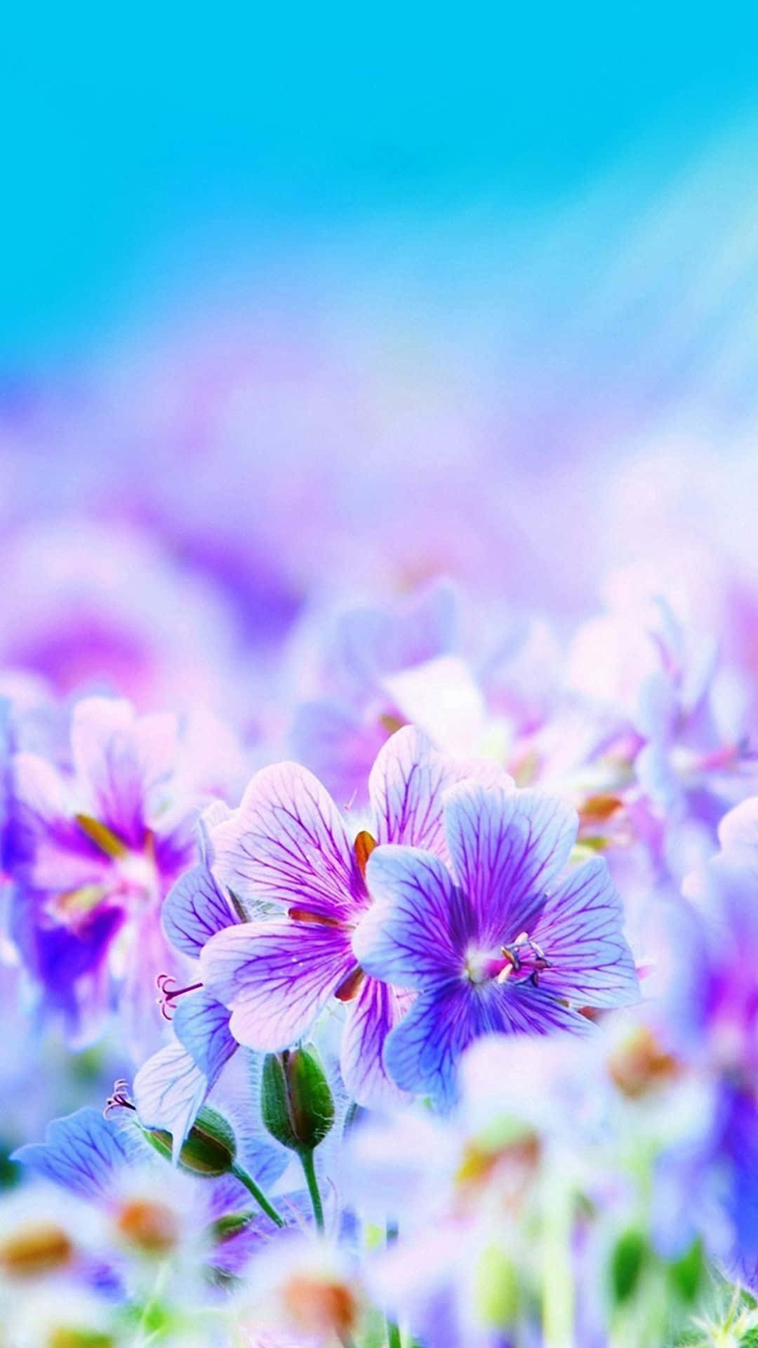 "Brighten up your day with this beautiful cute iphone flower" Wallpaper
