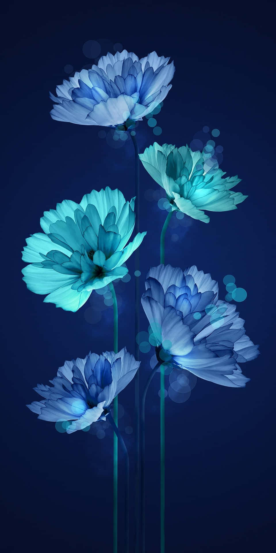 Blue Flowers On A Dark Background Wallpaper