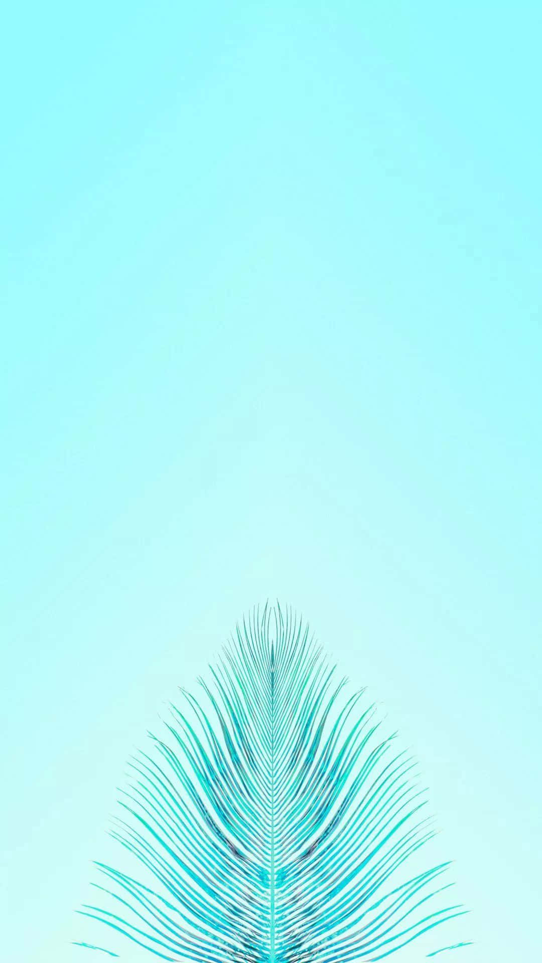 Cute iPhone Teal Feather With Thin Strands Wallpaper
