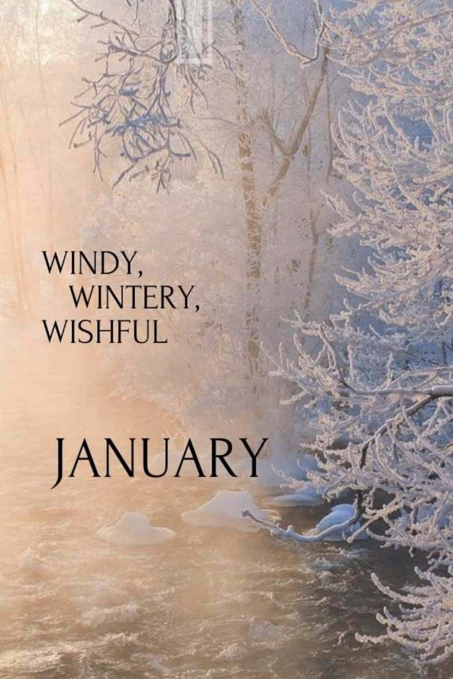 "Welcome January, full of possibilities and opportunities!" Wallpaper