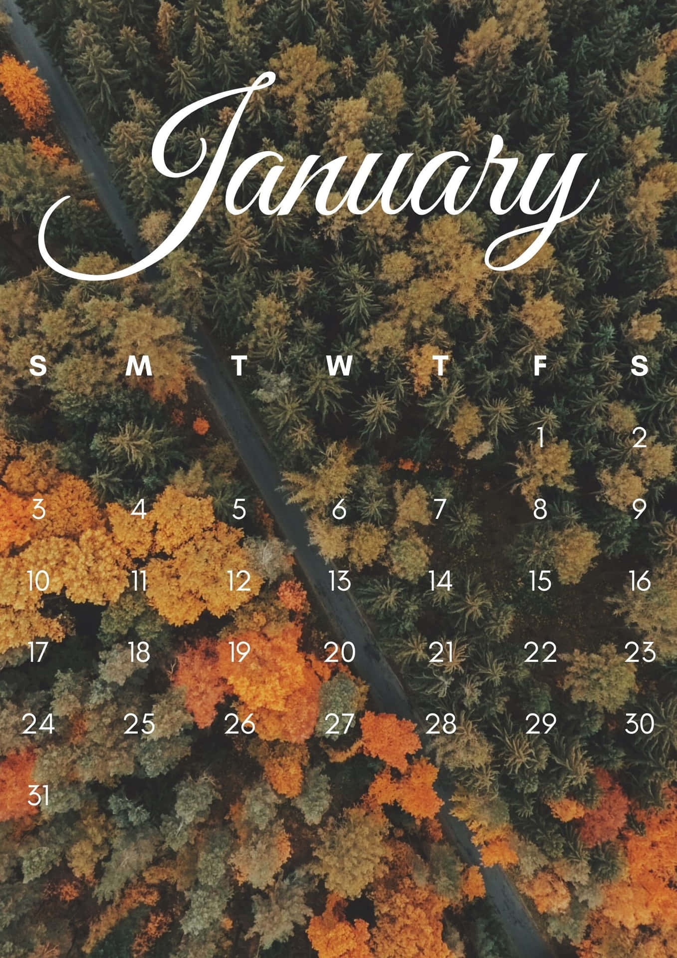 Welcome January with a Smile Wallpaper