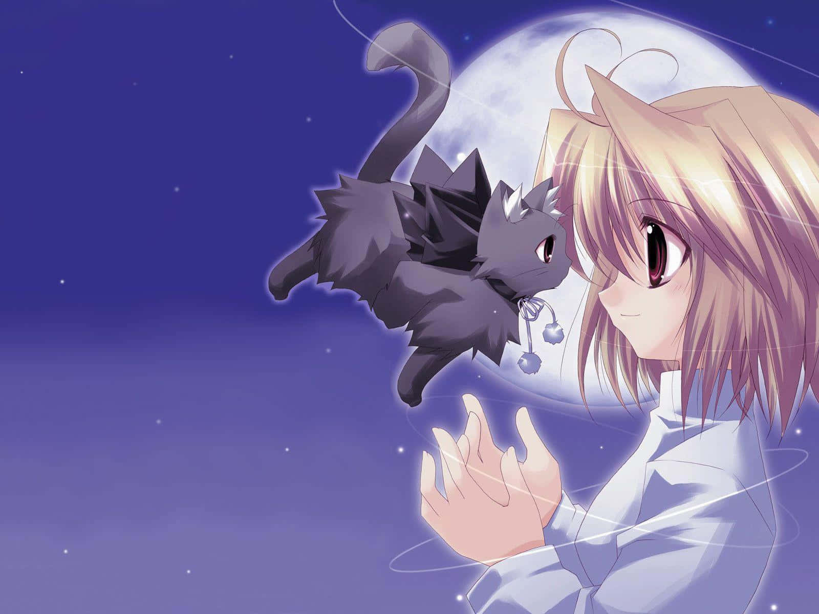 Anime Girl, anime, girl, kawaii, kawai, cute, cat, HD phone wallpaper