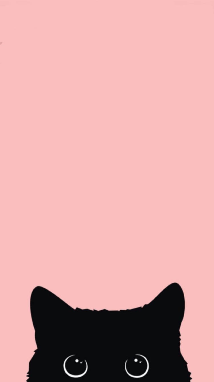 Download Cute Kawaii Cat Pink Wallpaper | Wallpapers.com
