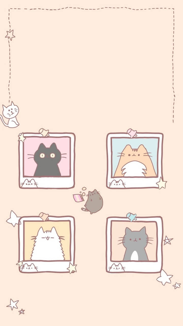 Cute Kawaii Cat Polaroid Wallpaper