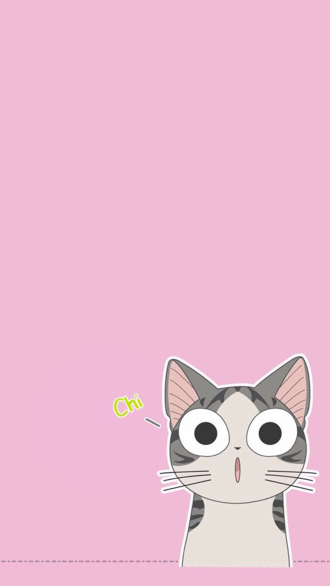 Cute Kawaii Cat Surprised Wallpaper