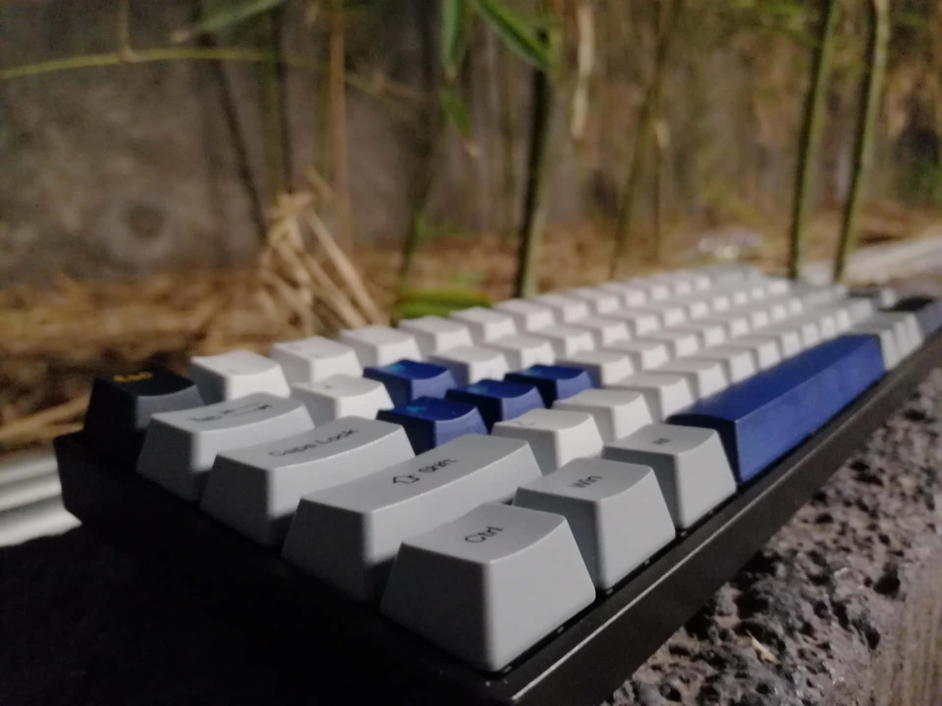 A Blue And White Keyboard Sitting On A Rock