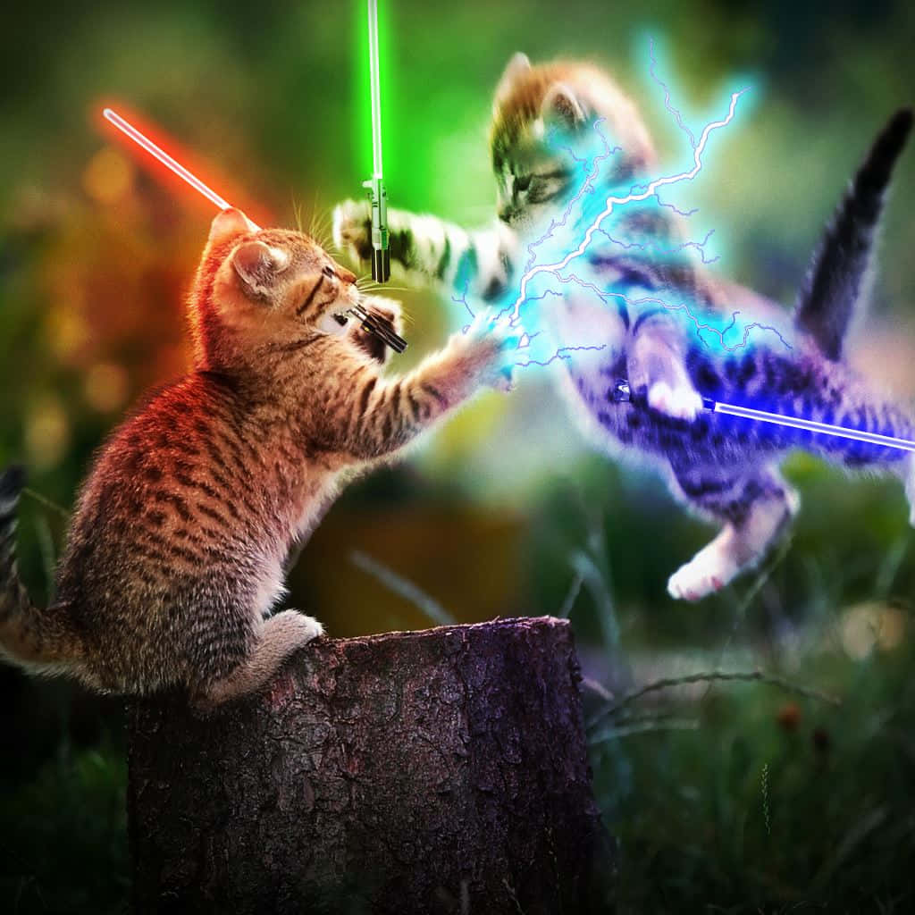Two Kittens Playing With Lightsabers In The Forest