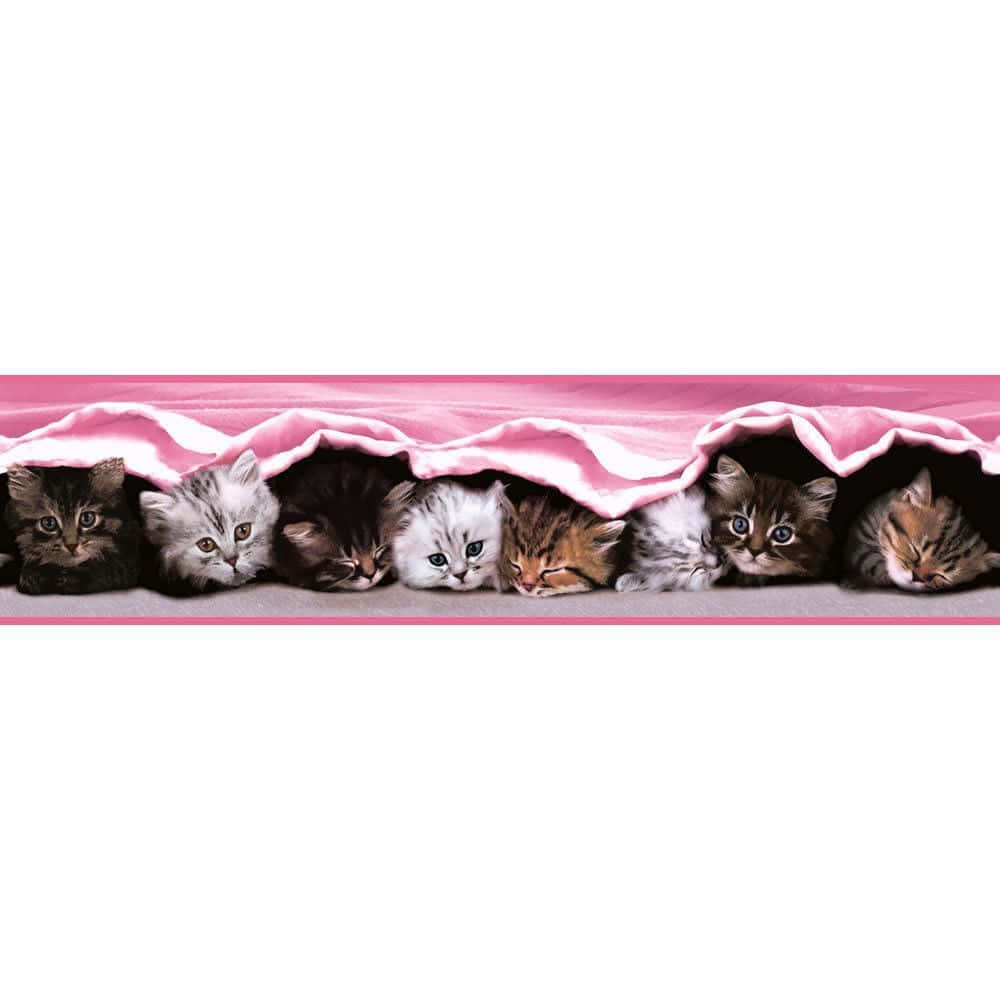 Cute Kittens Underneath Pink Blanket Wallpaper