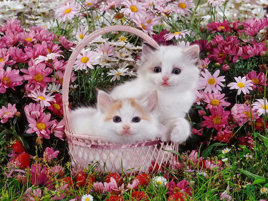 Adorable Kitties Snuggled in a Basket Surrounded by Beautiful Flowers Wallpaper