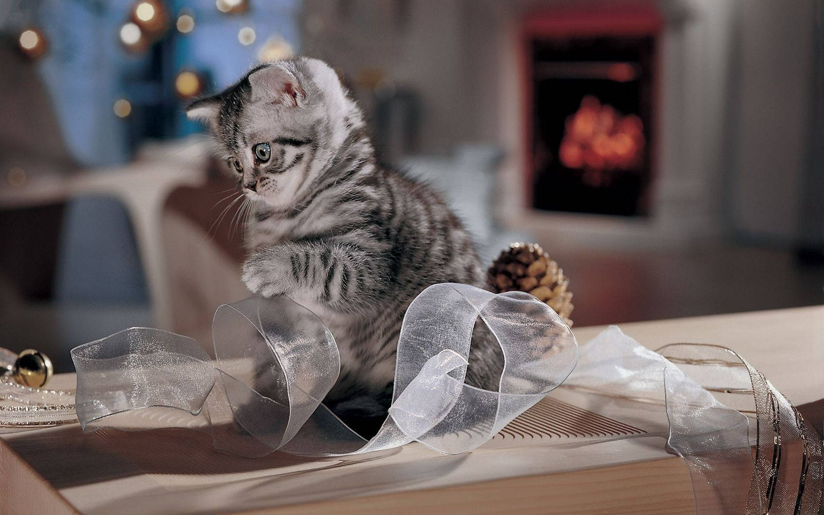 Cute Kitty Playing With Lace Background
