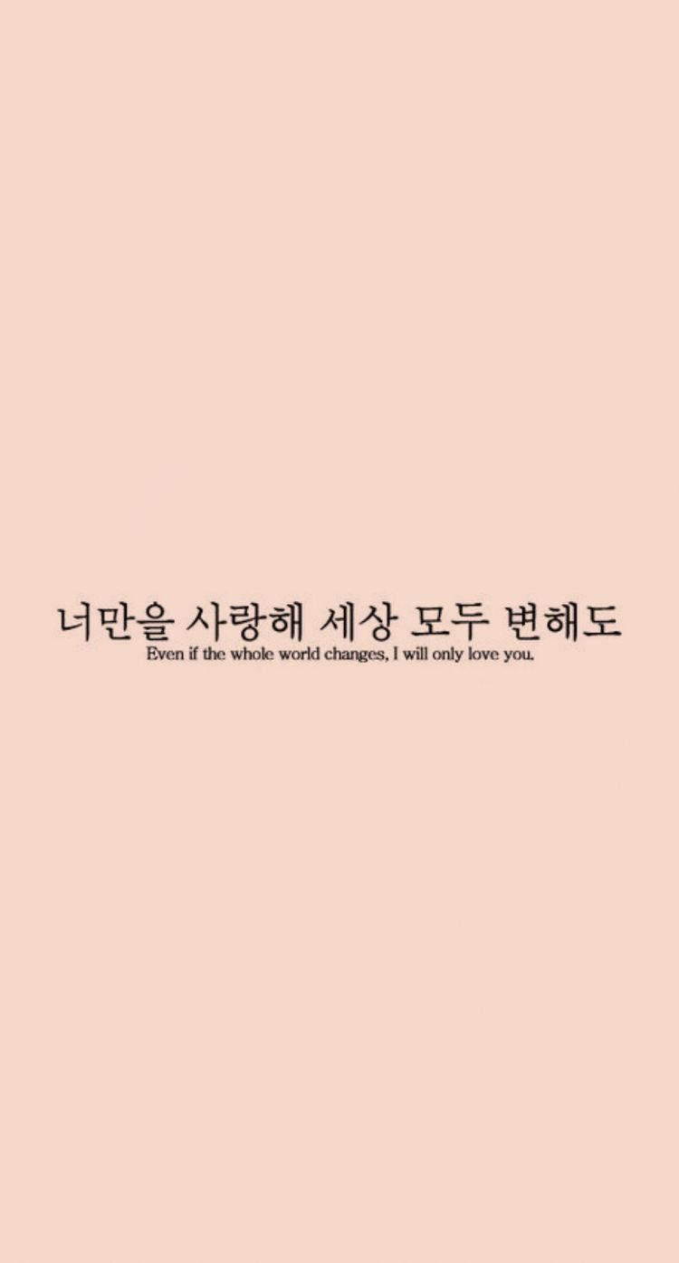 Download Cute Korean Quote Aesthetic Phone Wallpaper 