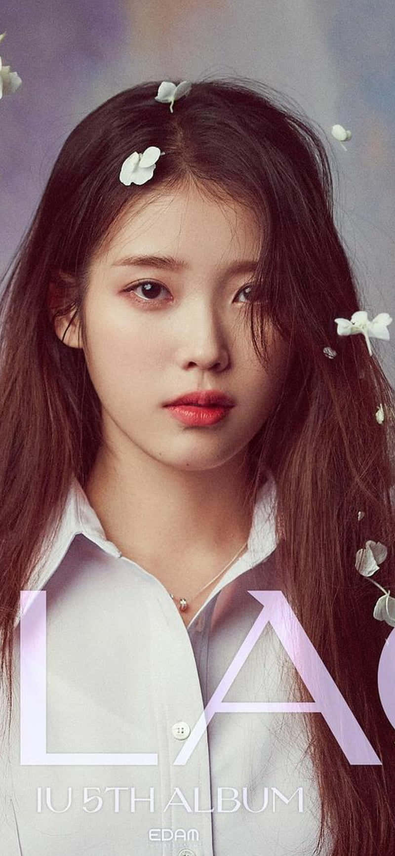 Sød koreansk singer IU Lilac Album Tapet Wallpaper