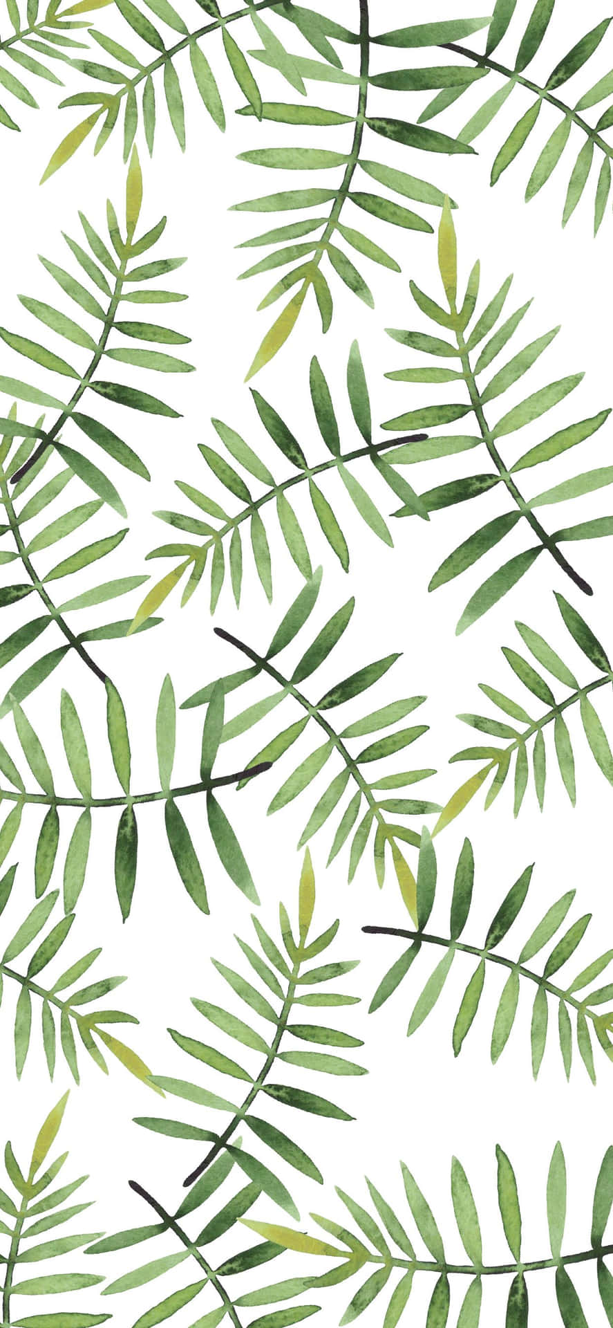 Cute Green Palm Fern Leaves Wallpaper