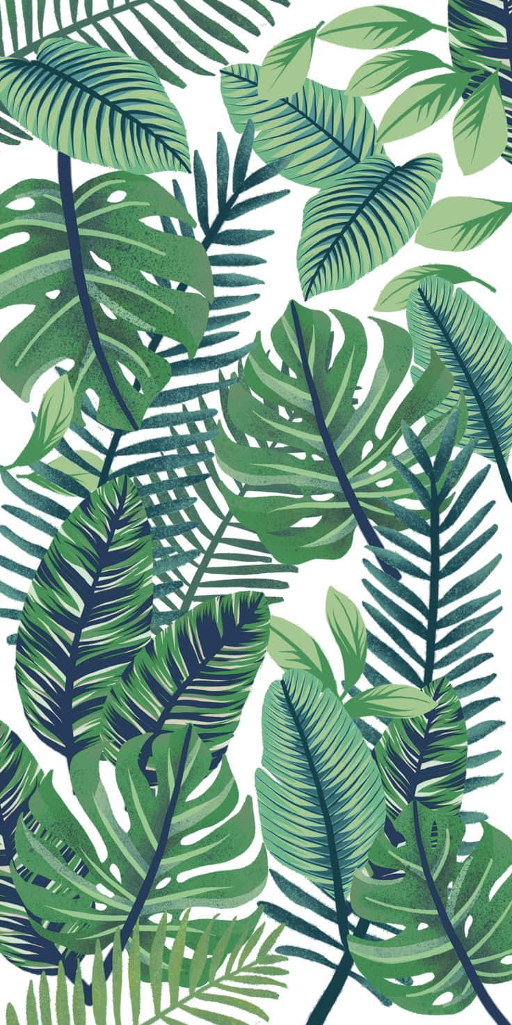 Tropical Vector Patterns  Leaves  Cute patterns wallpaper Abstract  wallpaper design Leaf illustration