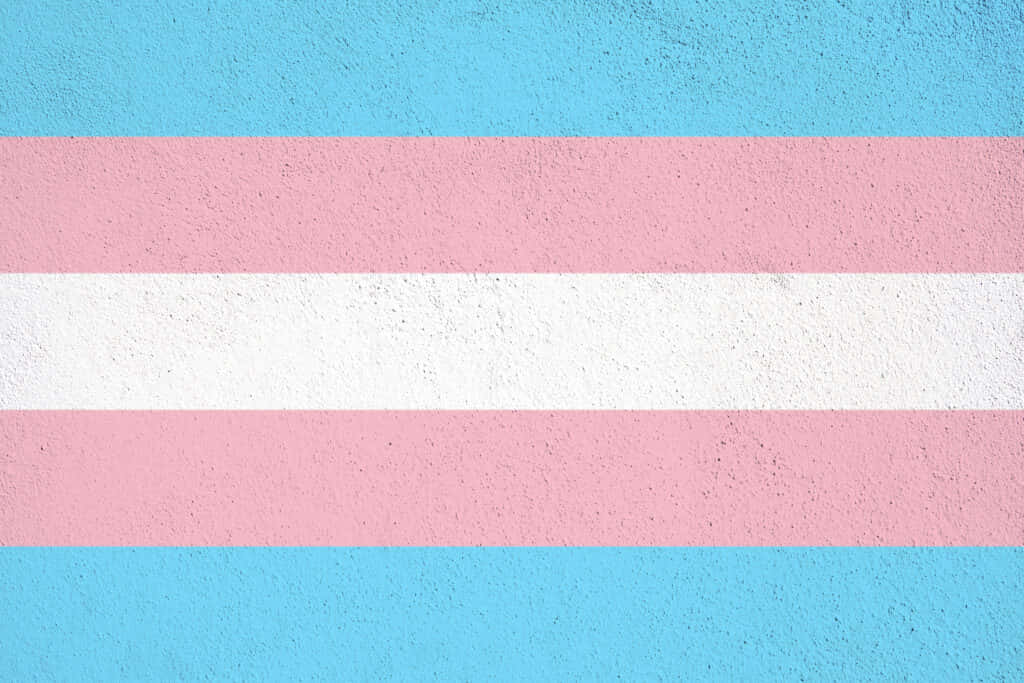Cute Lgbt Transgender Flag Wallpaper