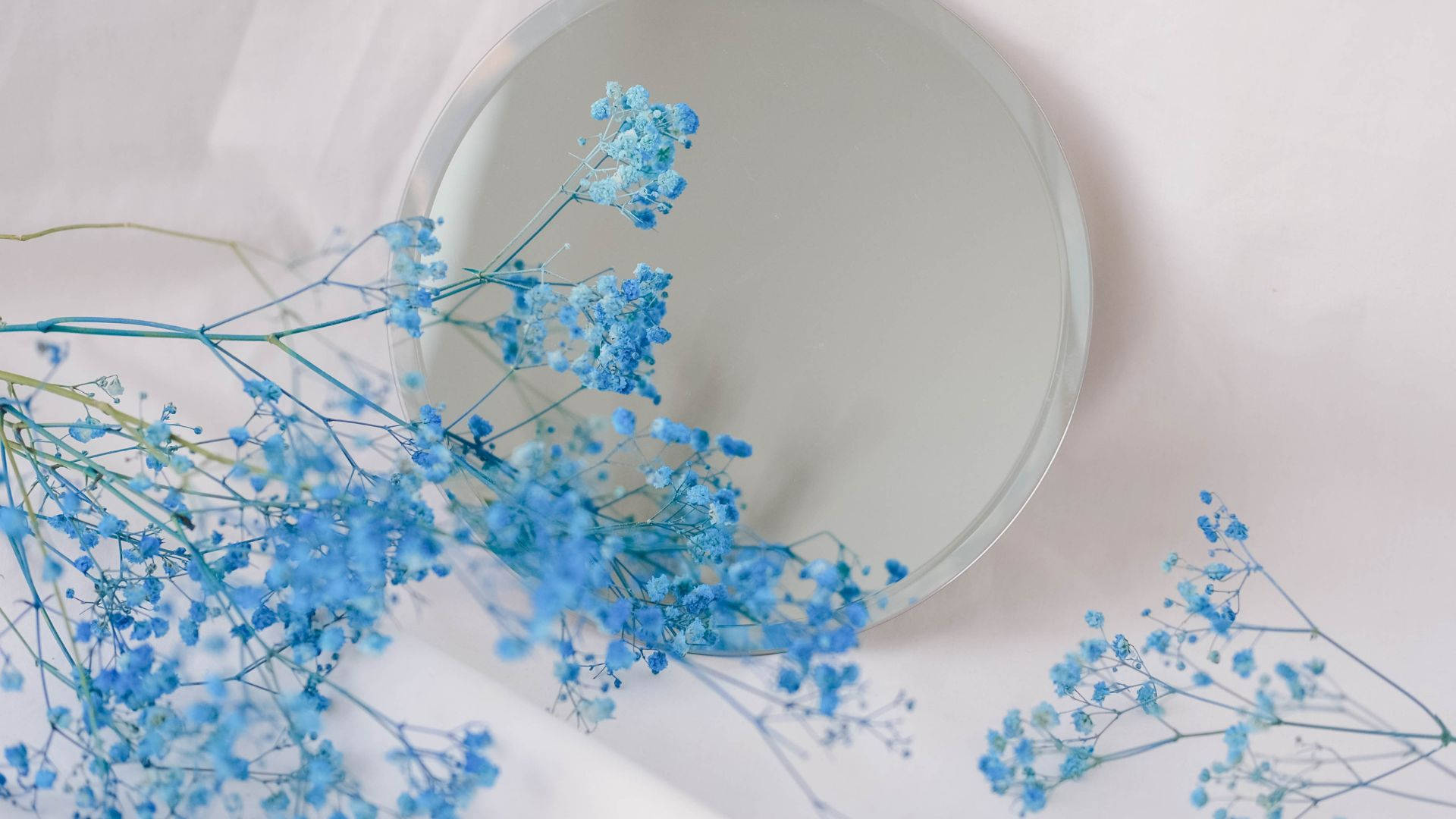 Lysne din dag med søde lyse blå blomster Wallpaper