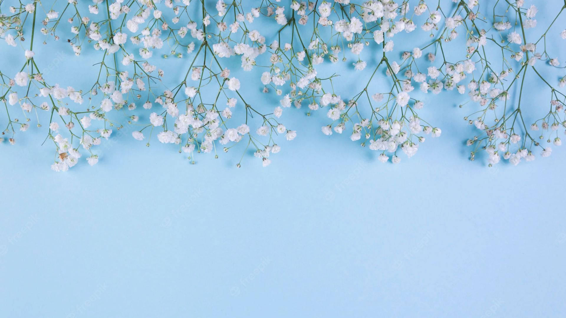 A cute and elegant light blue background Wallpaper