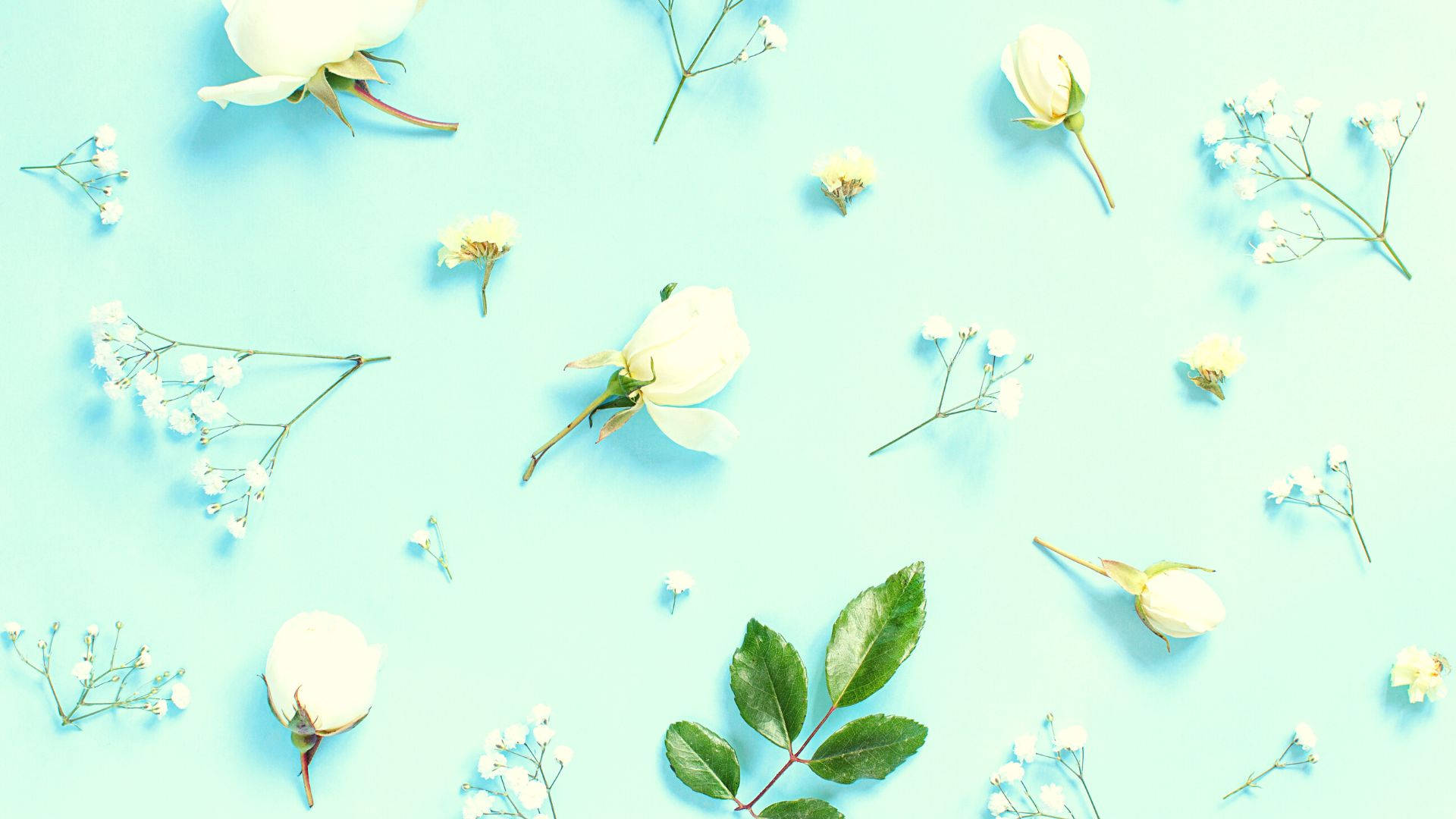 Et sødt lyseblåt baggrund perfekt til en fredfyldt dag. Wallpaper