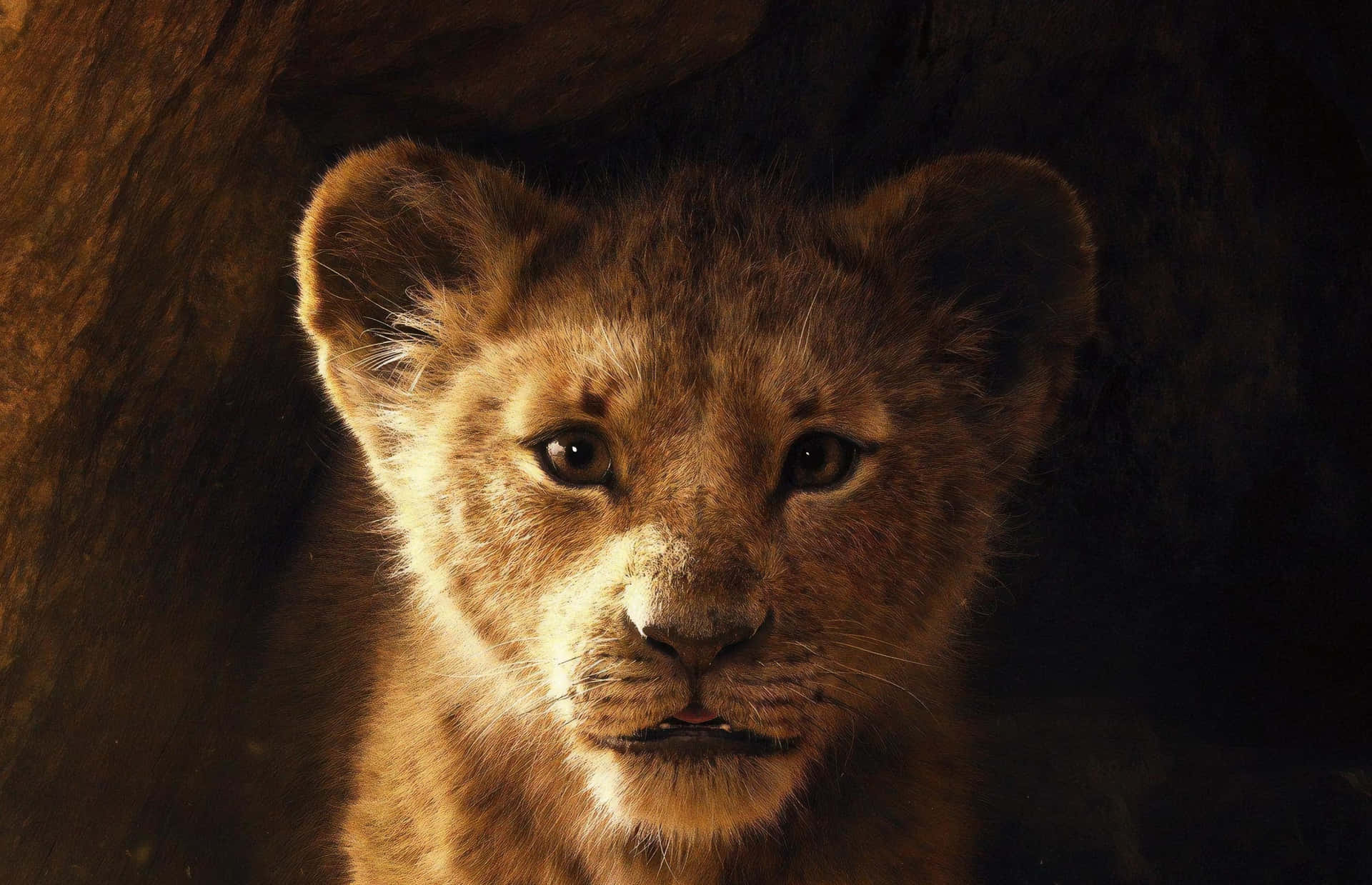 Cute Lion King Character Nala Wallpaper