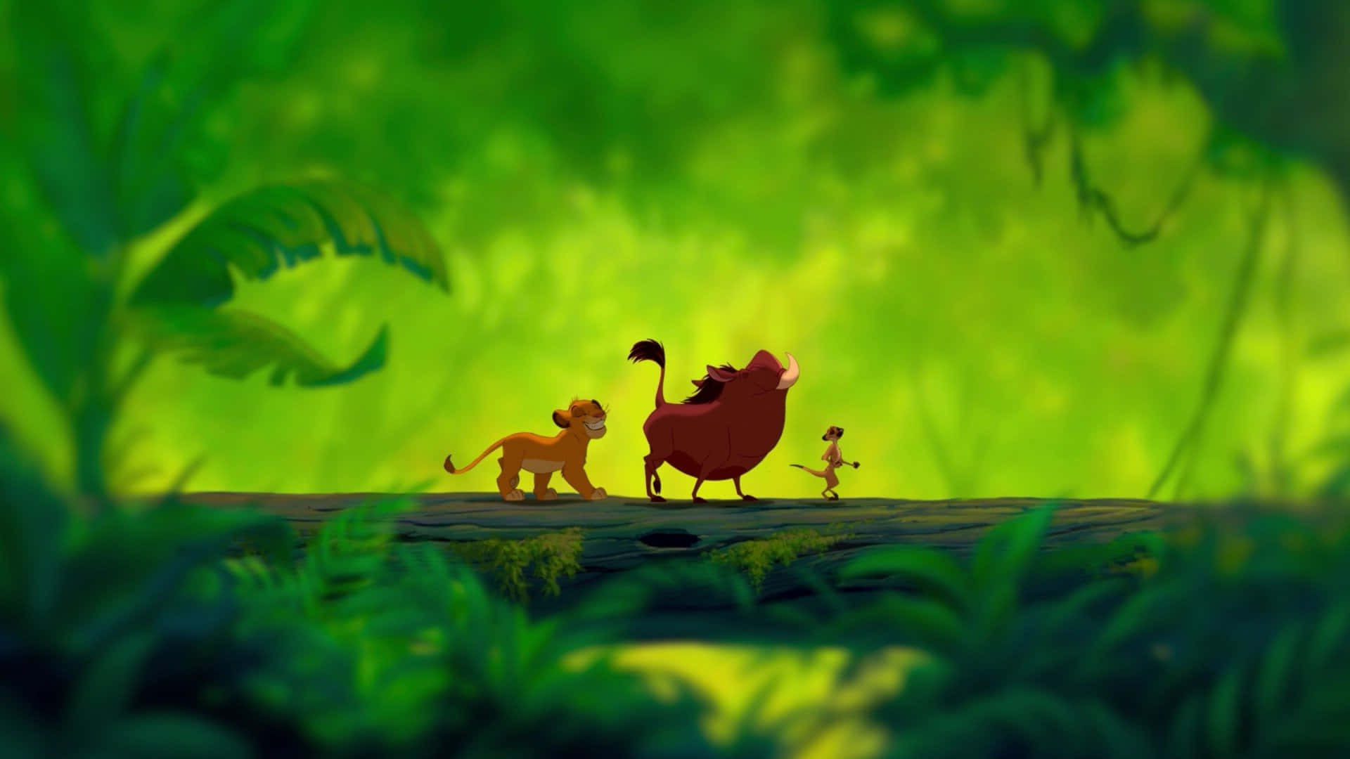 The Lion King Wallpapers Wallpaper