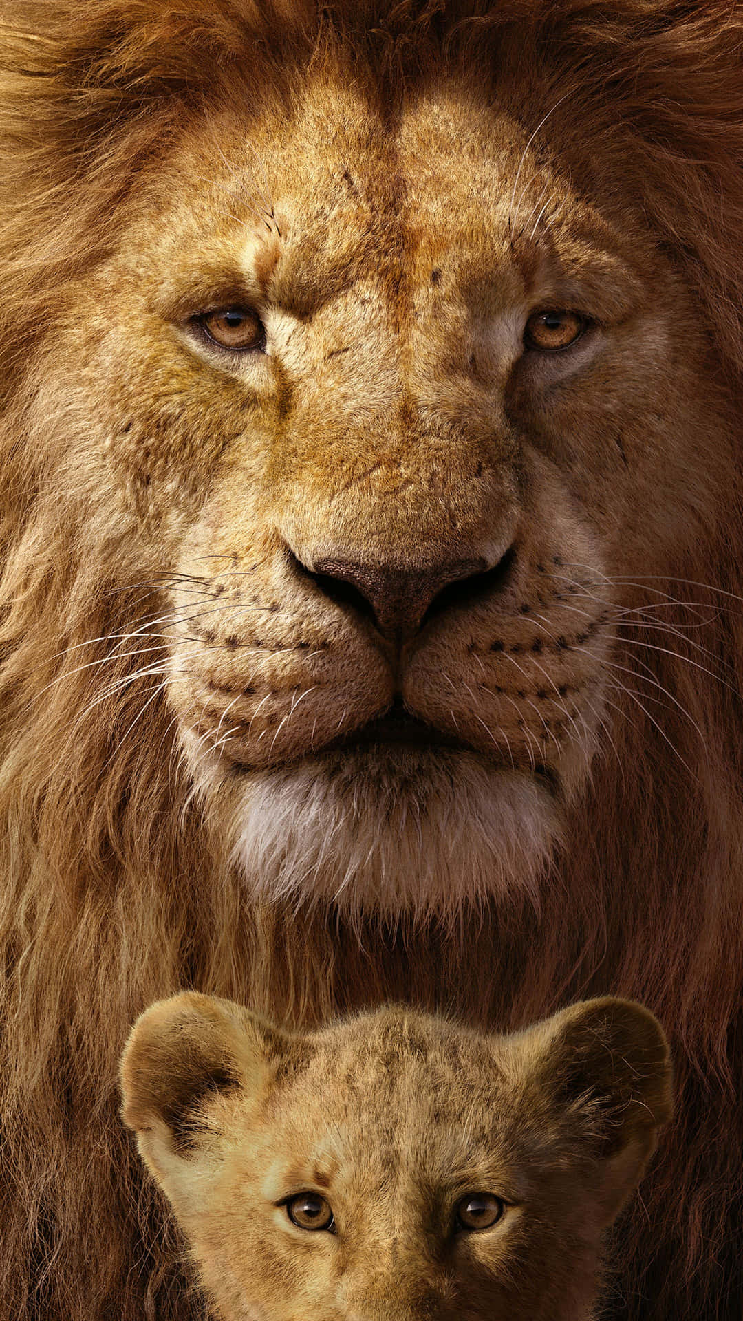 Den sødeste løve i riget. Wallpaper