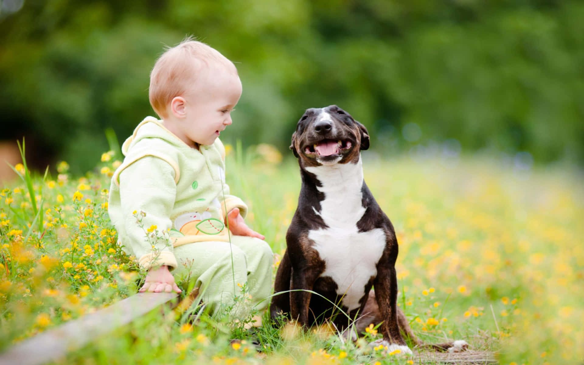 A Baby Sitting Next To A Dog In A Field Wallpaper
