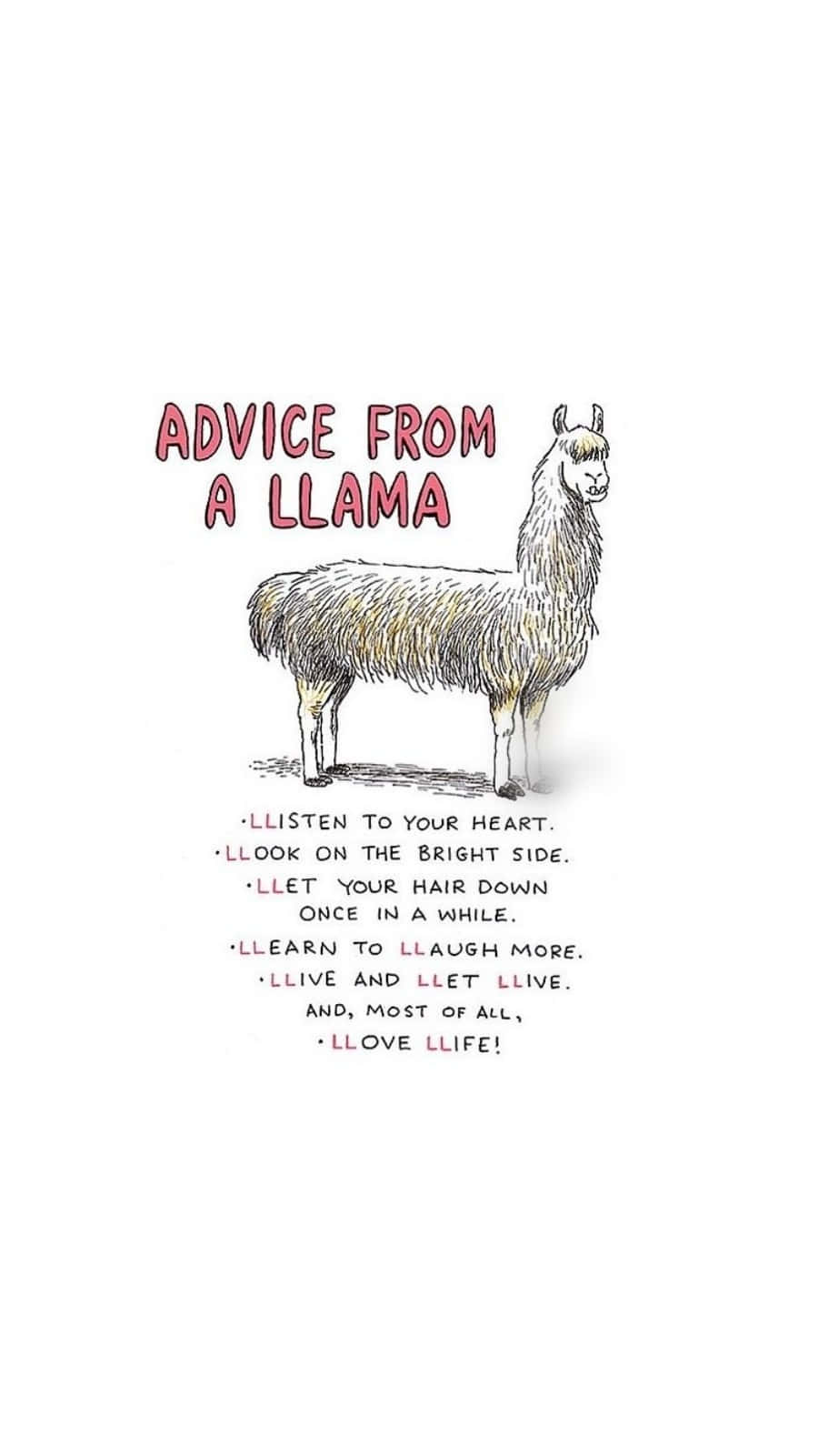 Cute Advice From A Llama Wallpaper