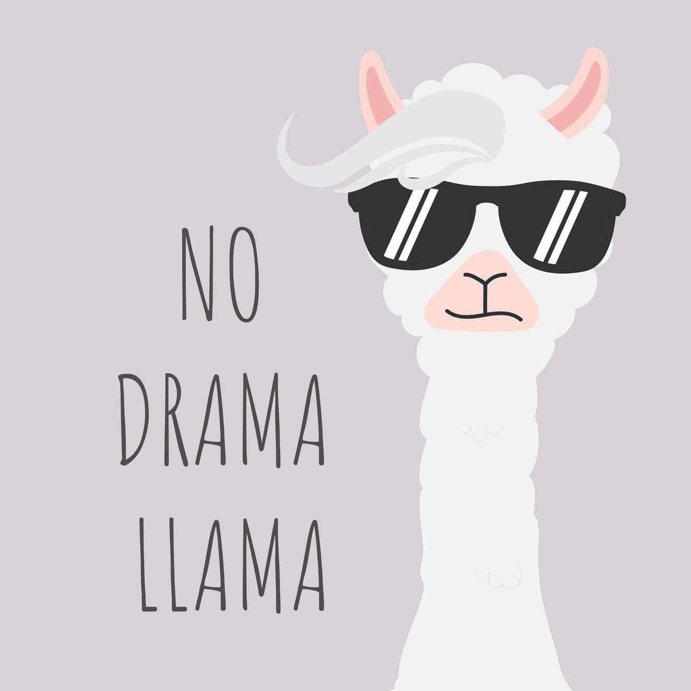 Cute No Drama Llama Wallpaper