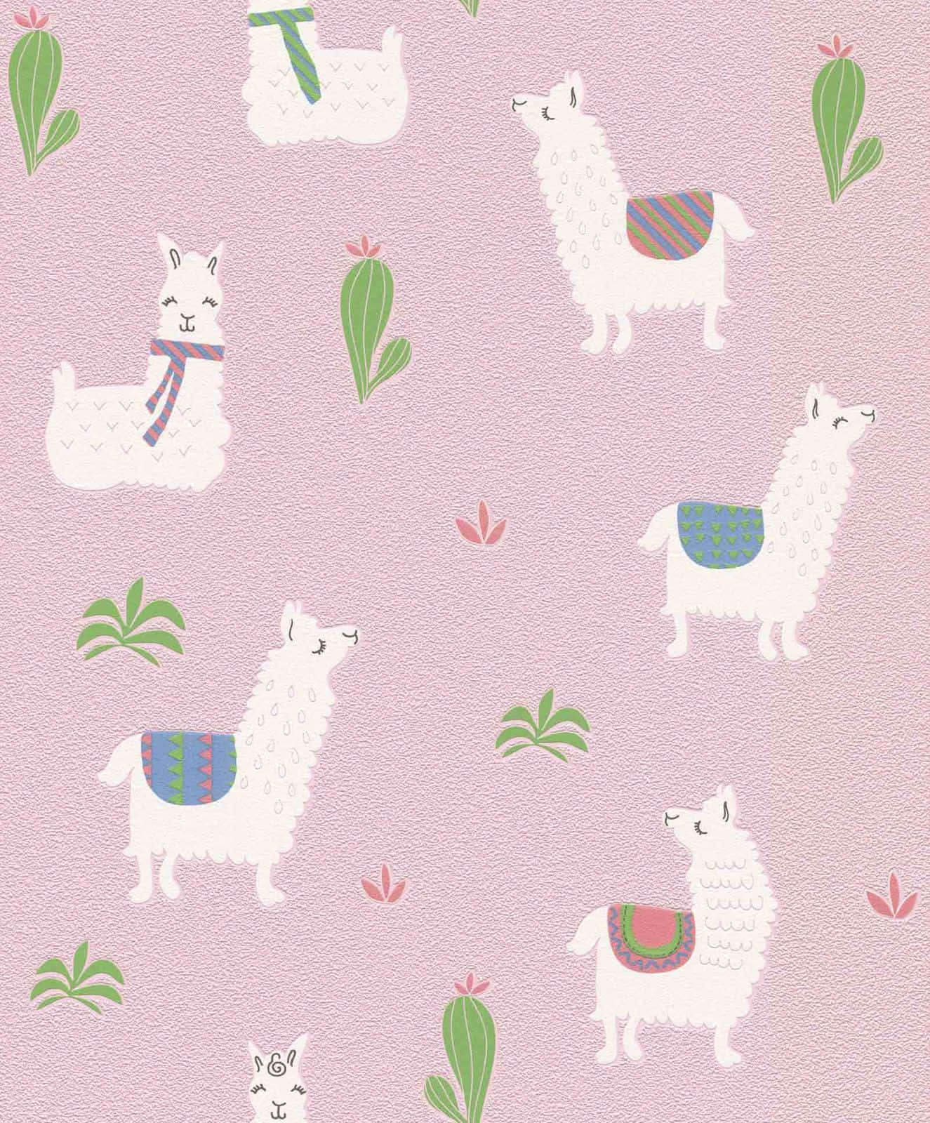 A close-up of an adorable llama Wallpaper