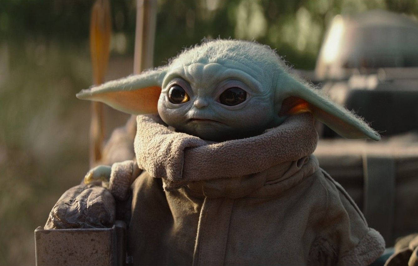 Adorable Baby Yoda Holding Its Favorite Toy Wallpaper