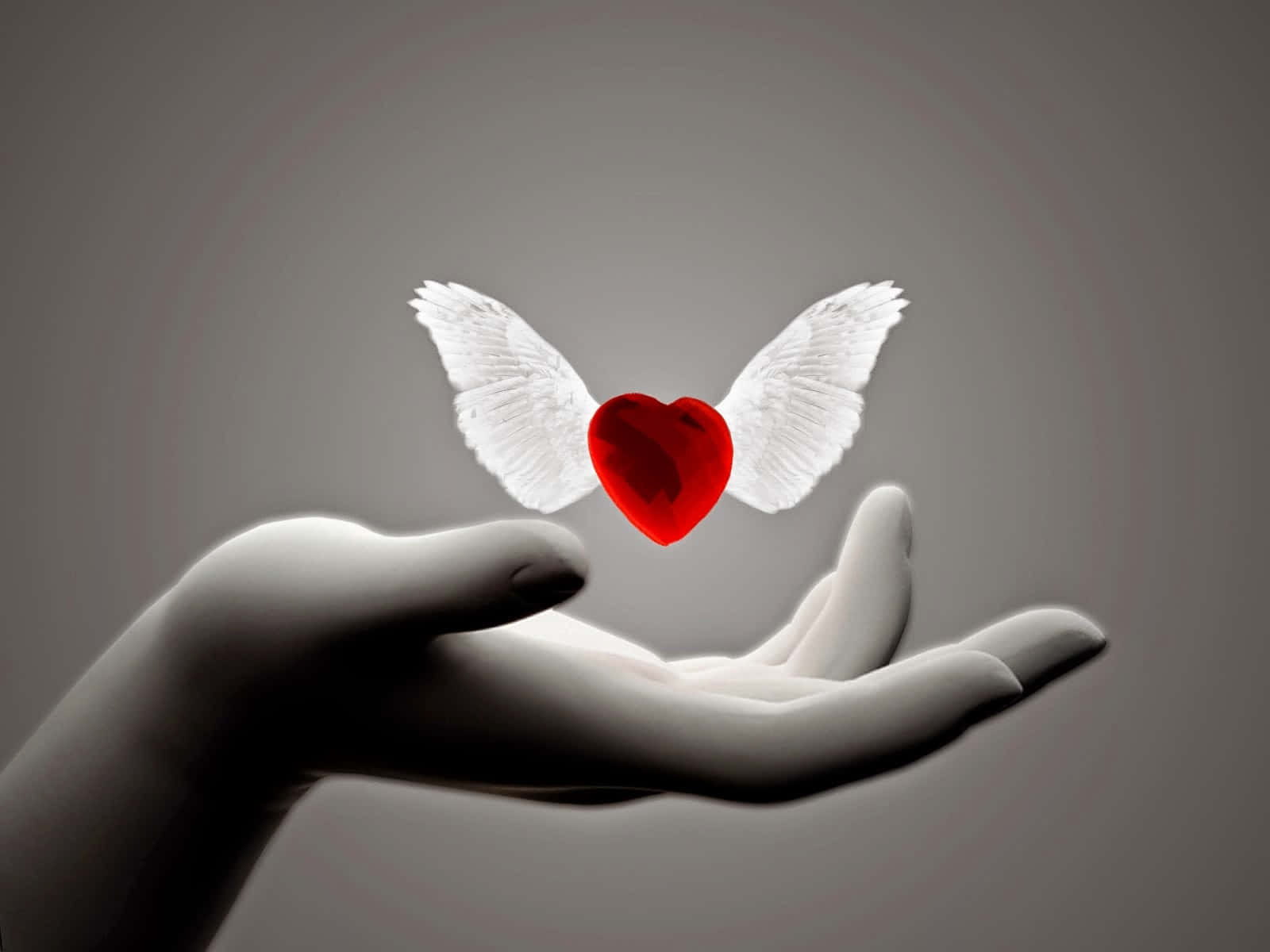 A Hand Holding A Red Heart With Wings