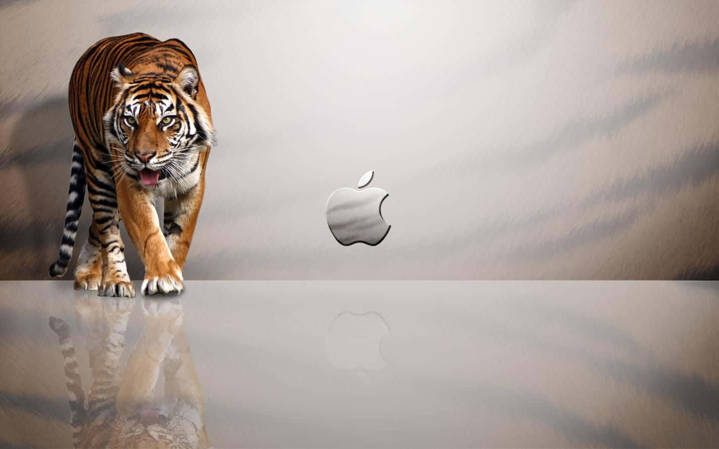 Download Cute Mac 1440 X 900 Wallpaper | Wallpapers.com