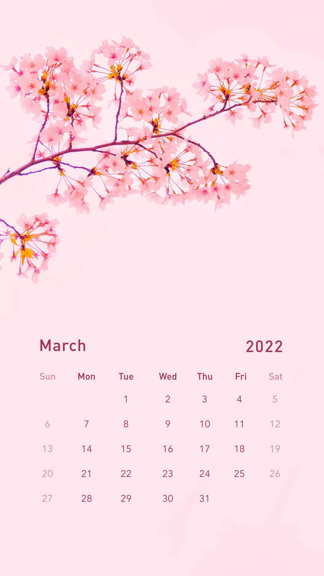 "Welcome in sunny, beautiful March!" Wallpaper