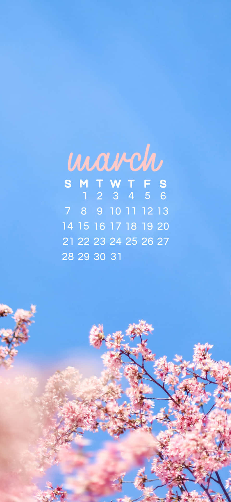 Welcome to a Cute & Colorful March! Wallpaper