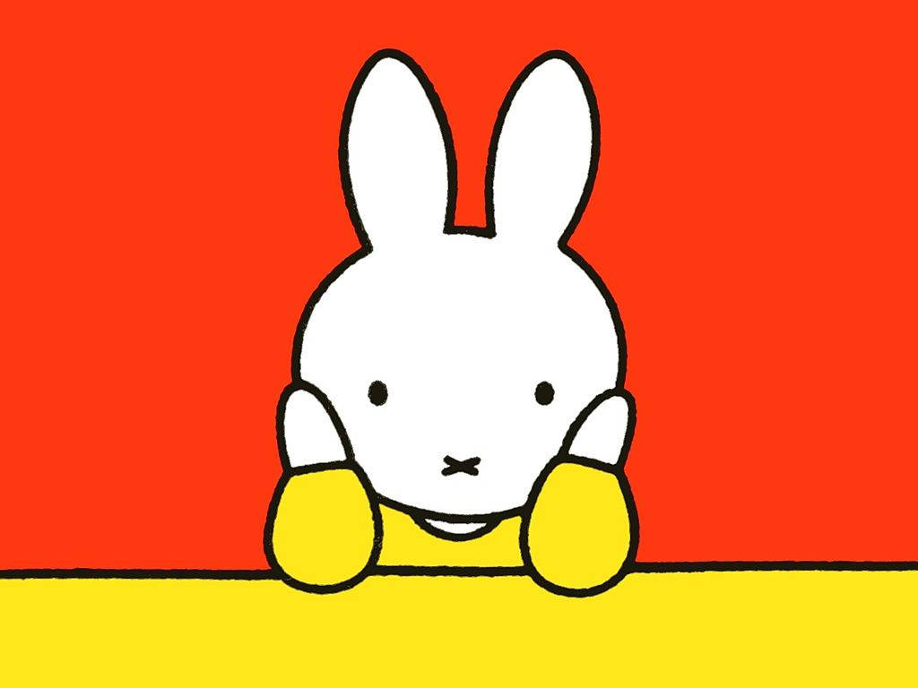 Cute Miffy Bunny Close Up Background