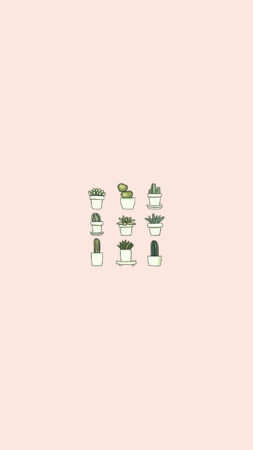 Cute Minimalist Succulents Wallpaper