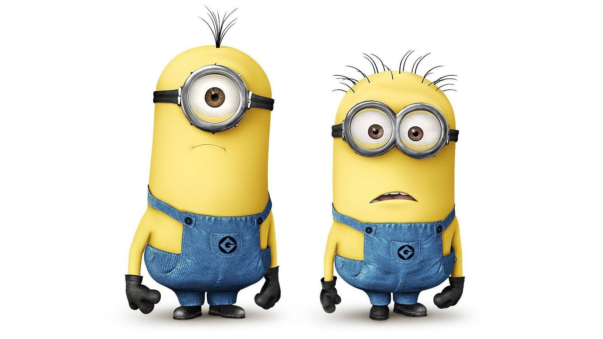 Cute Minions Phil And Tim Picture