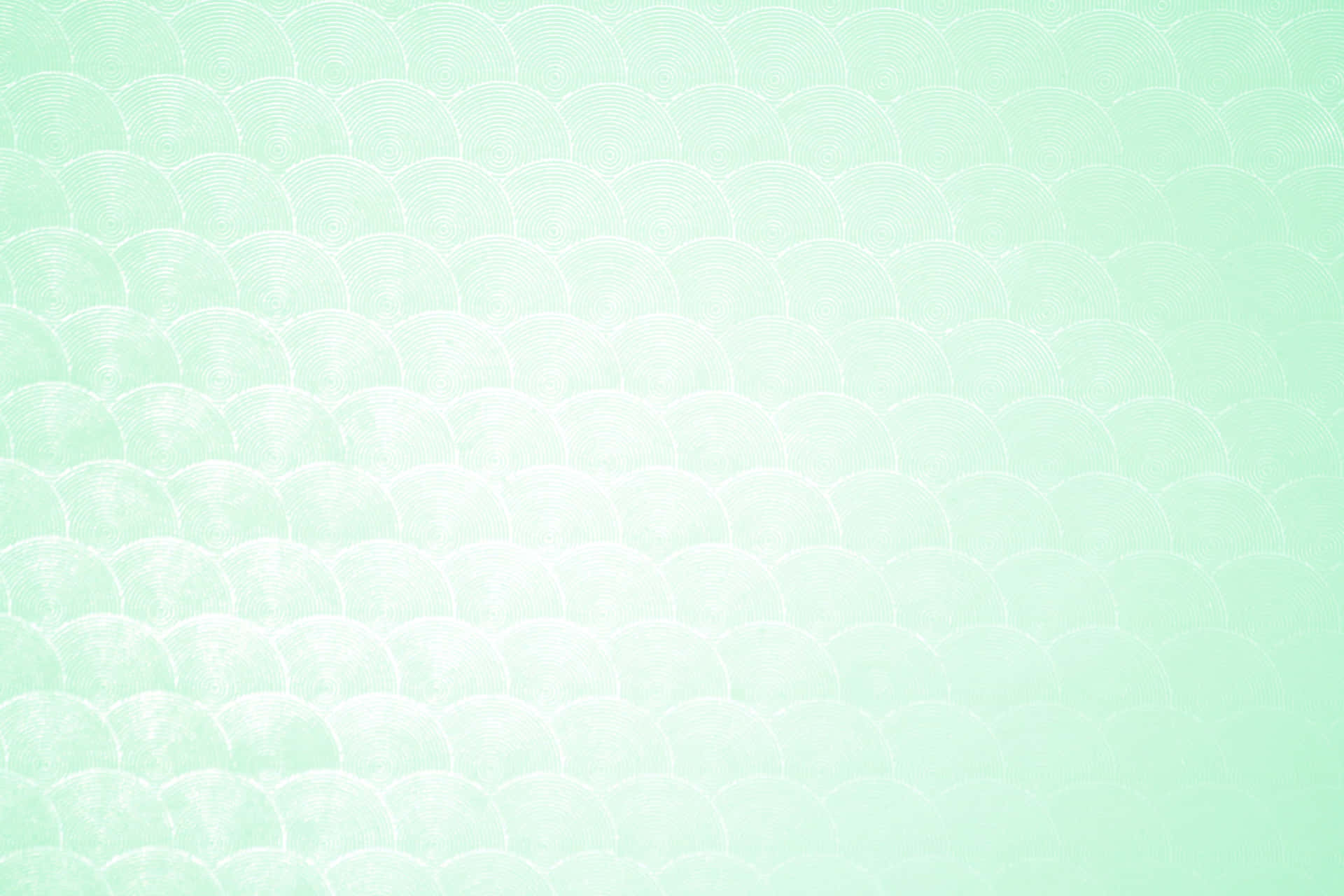 Get lost in the calm and soothing vibes of this cute mint green aesthetic. Wallpaper