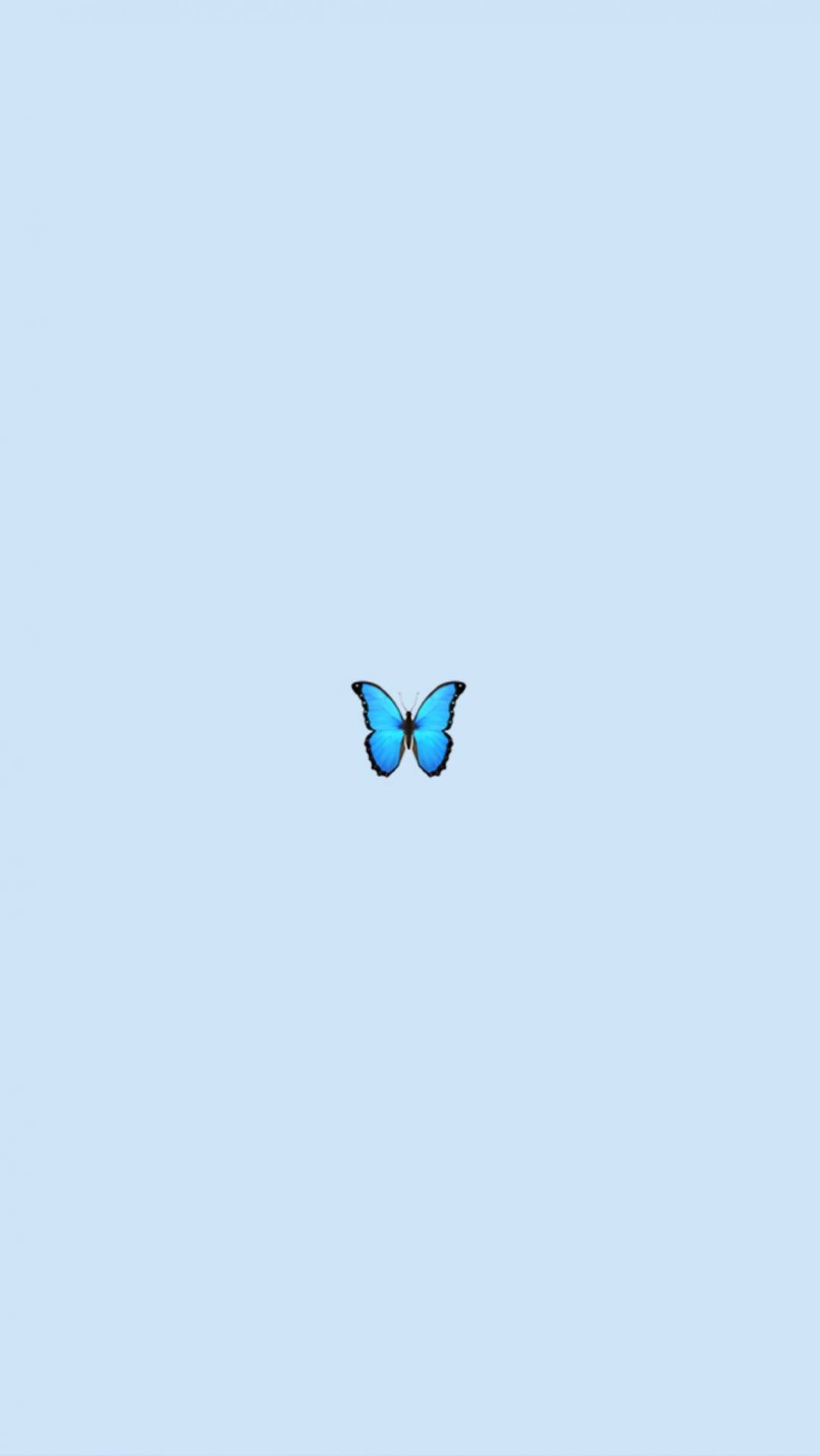 Cute Mobile Blue Butterfly Wallpaper
