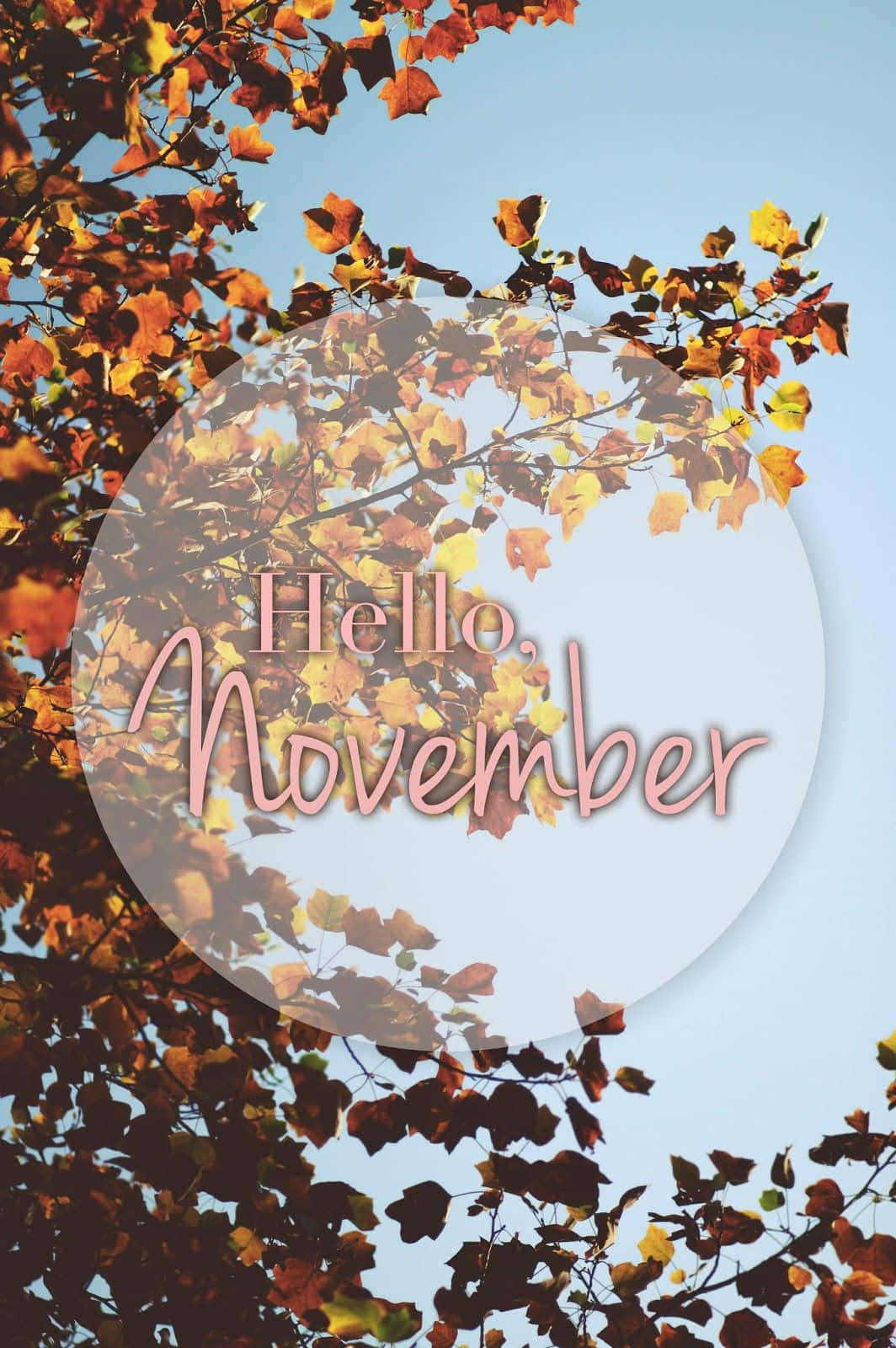 Cuddle up close and enjoy the warm cozy vibes of November Wallpaper