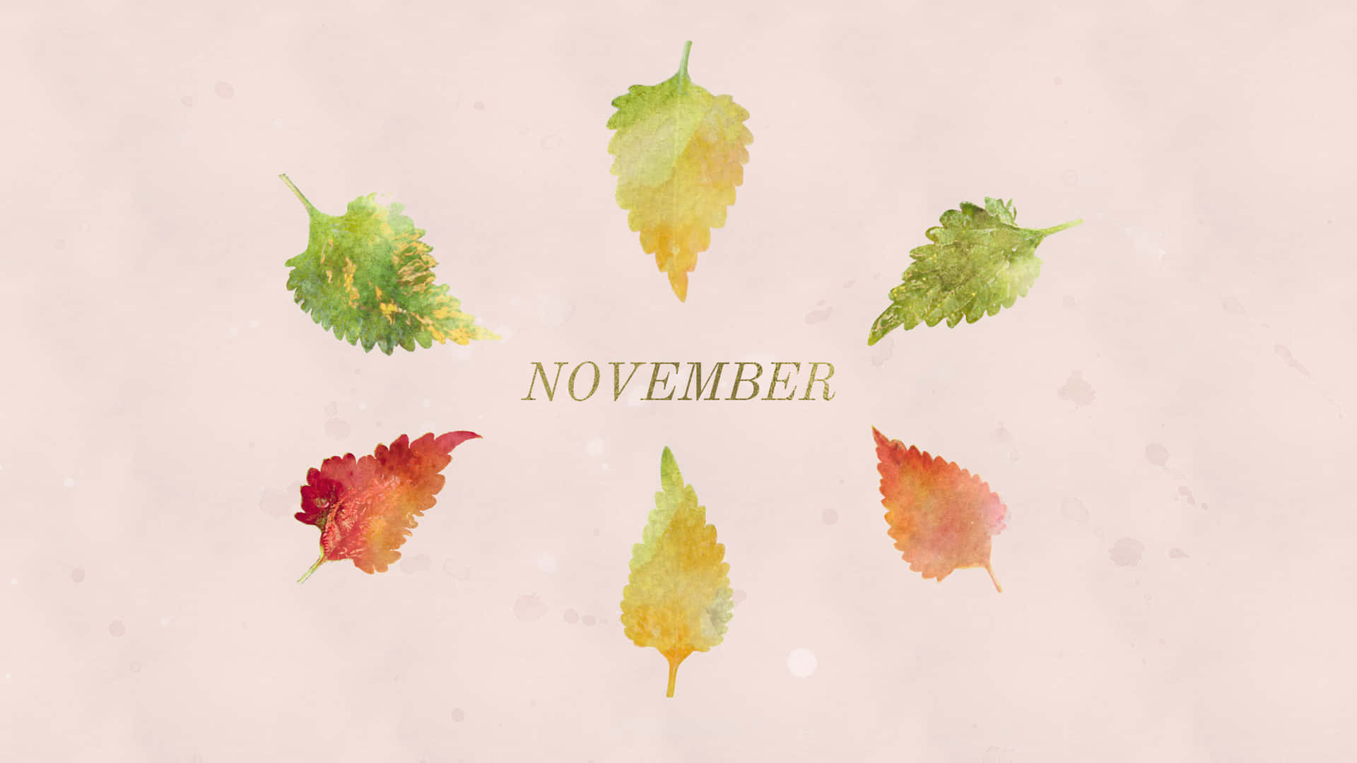 Cute November Leaves Wallpaper