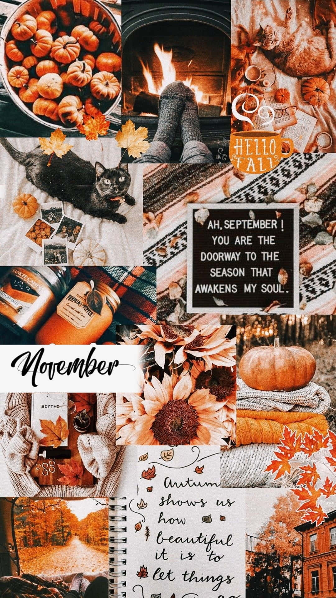 Welcome to the cozy month of November! Wallpaper