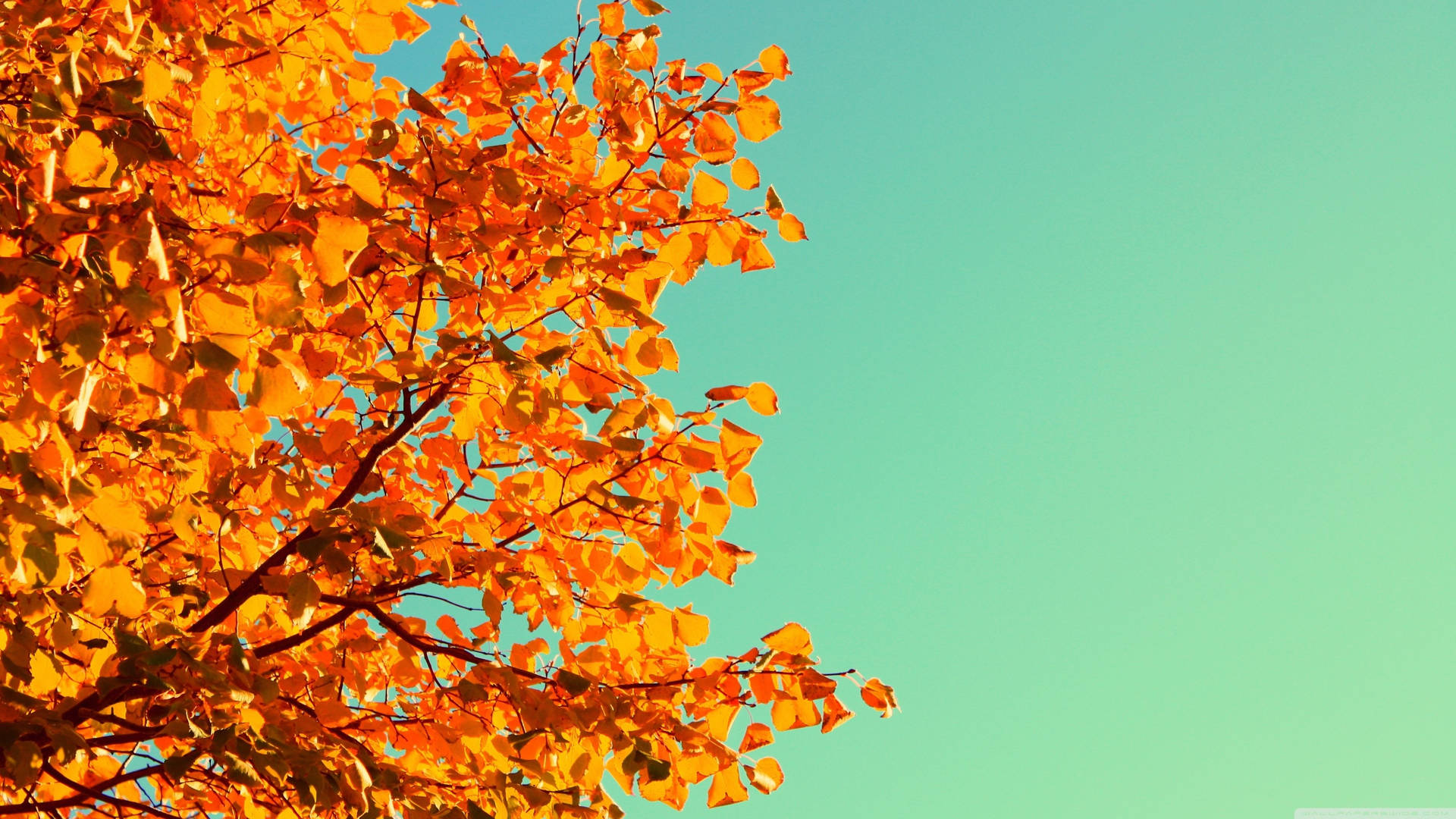 Get Ready for Autumn with this Cute October Scene Wallpaper