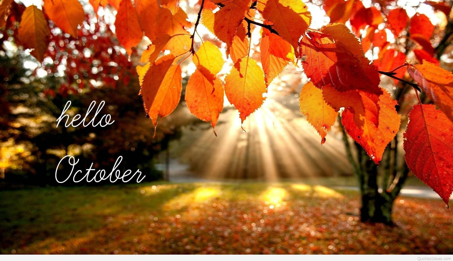 "Enjoy the Beauty of October" Wallpaper