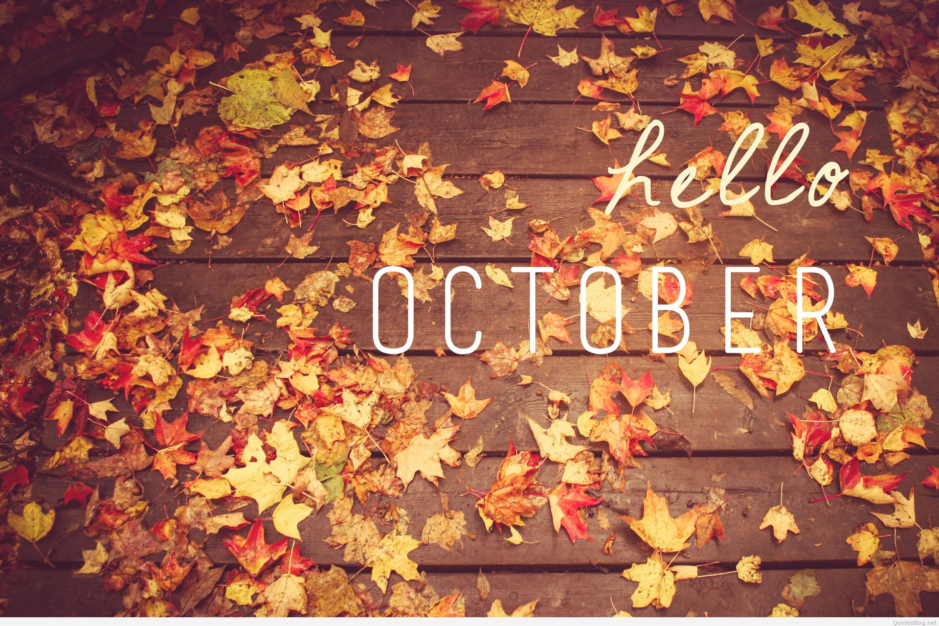 Spread the Love this October Wallpaper