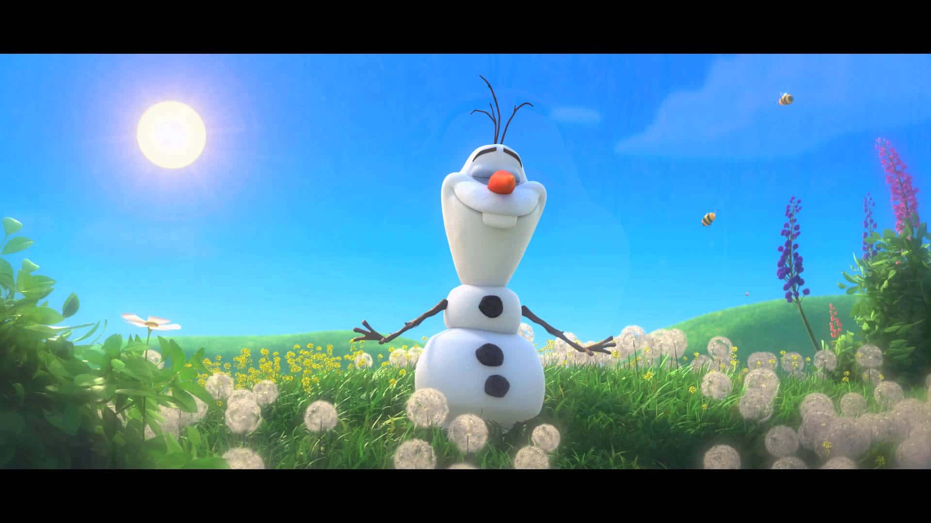 "Olaf takes a break in the sun and enjoys the warmth." Wallpaper