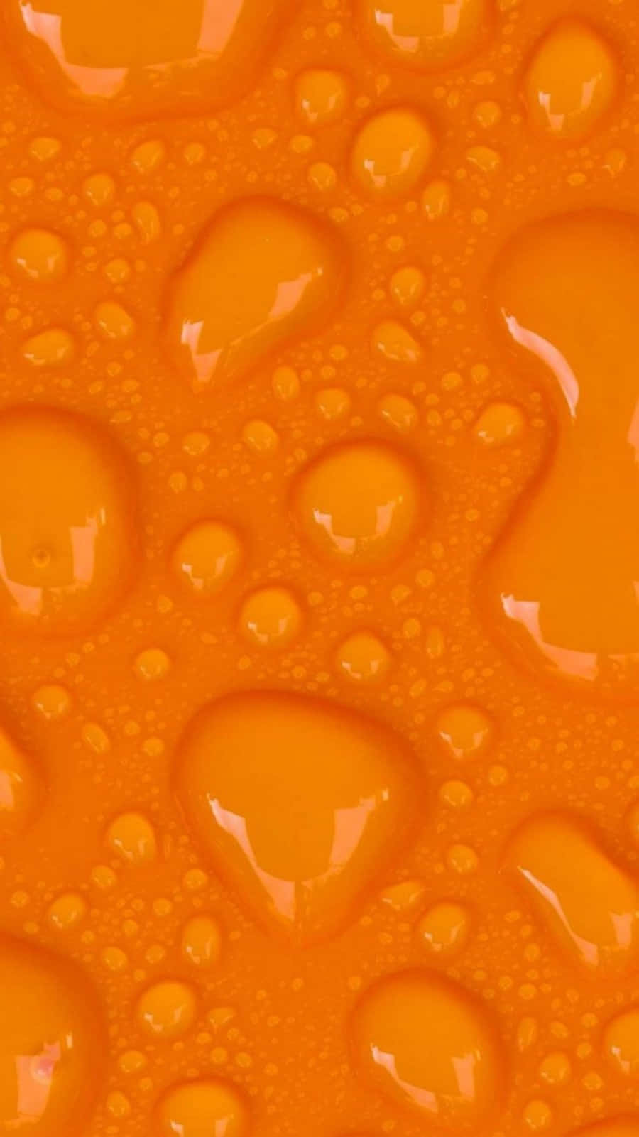 En sød orange kat Wallpaper