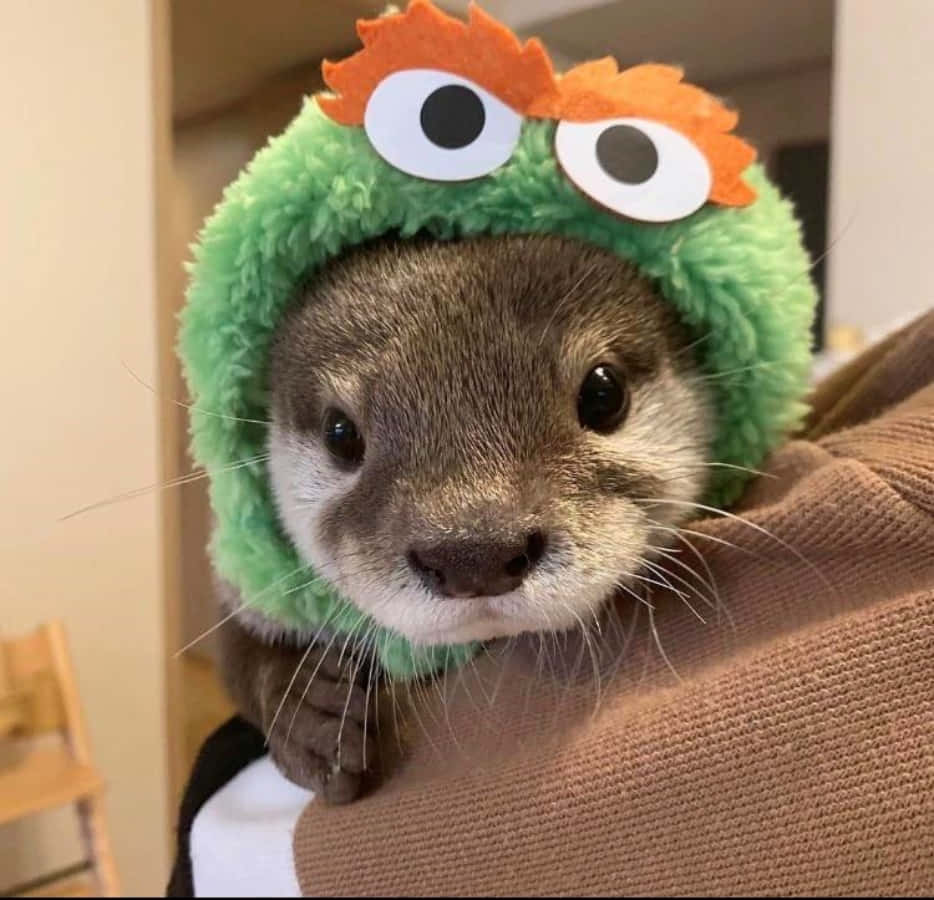 Cute Otter With Animal Hoodie Picture