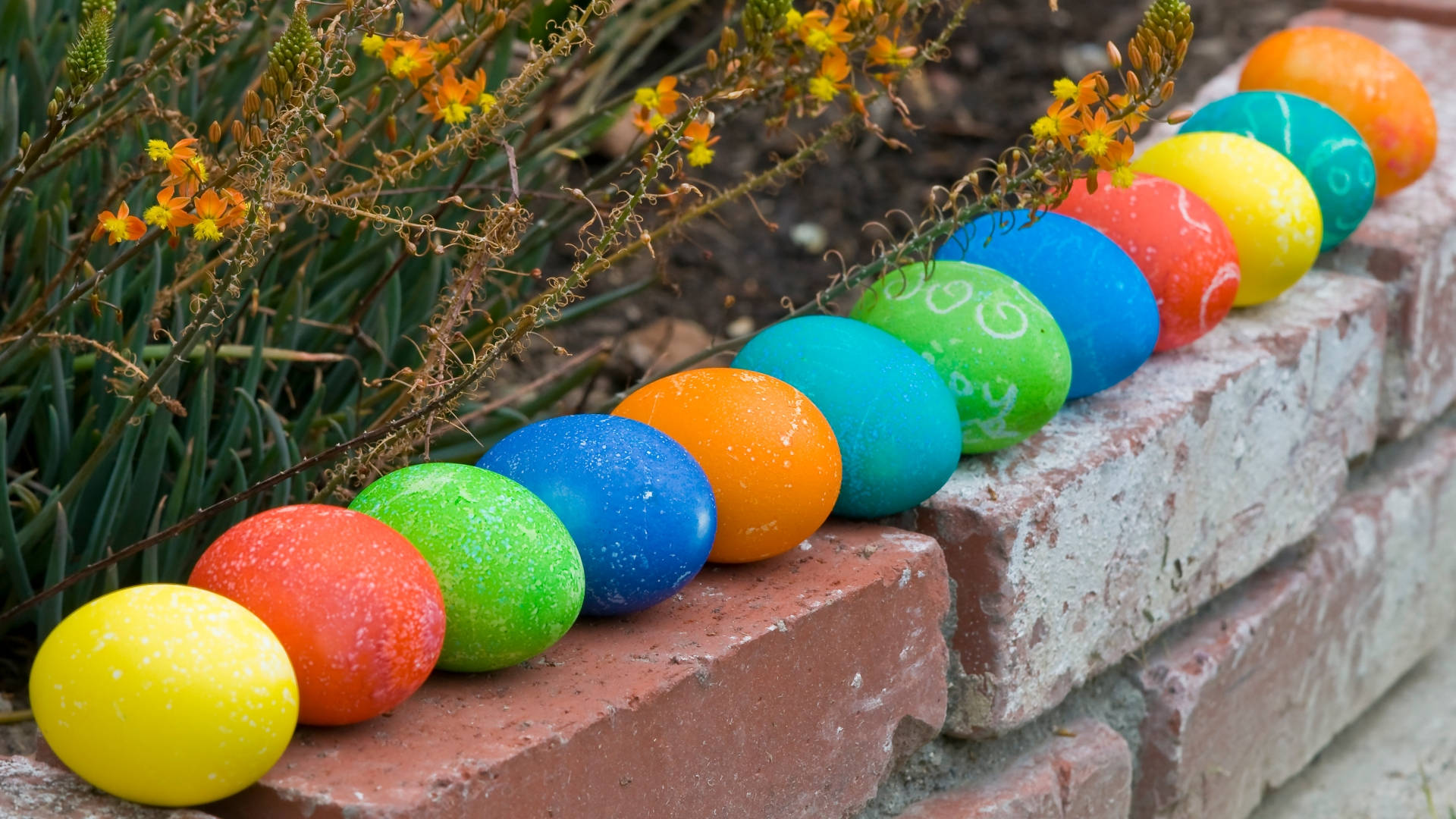 Cute Outdoor Easter Eggs Wallpaper
